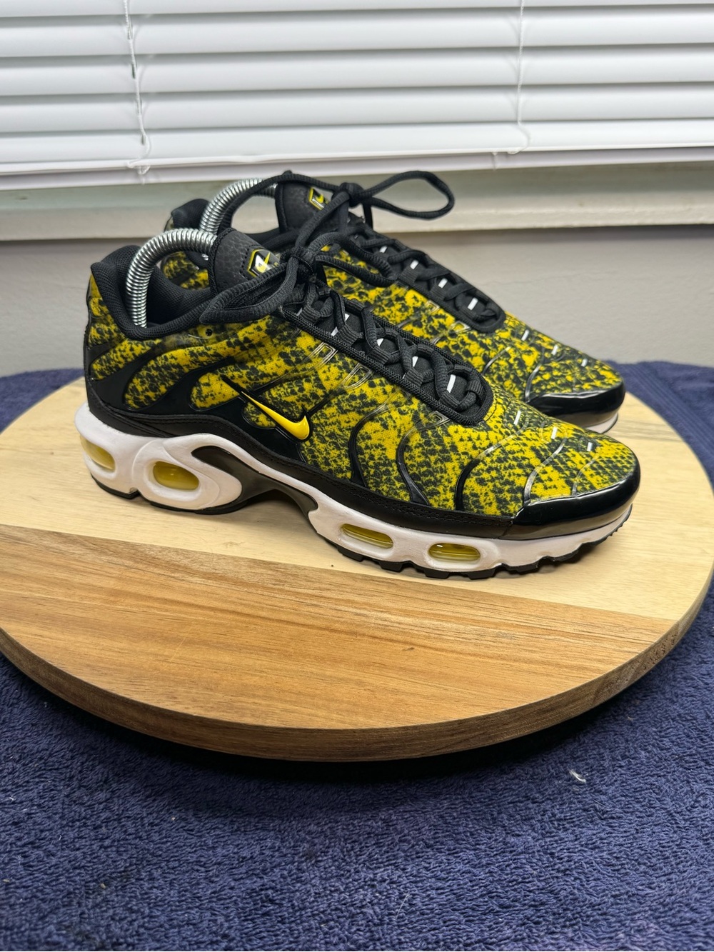 Nike Air Max Plus TN (Women’s 8)